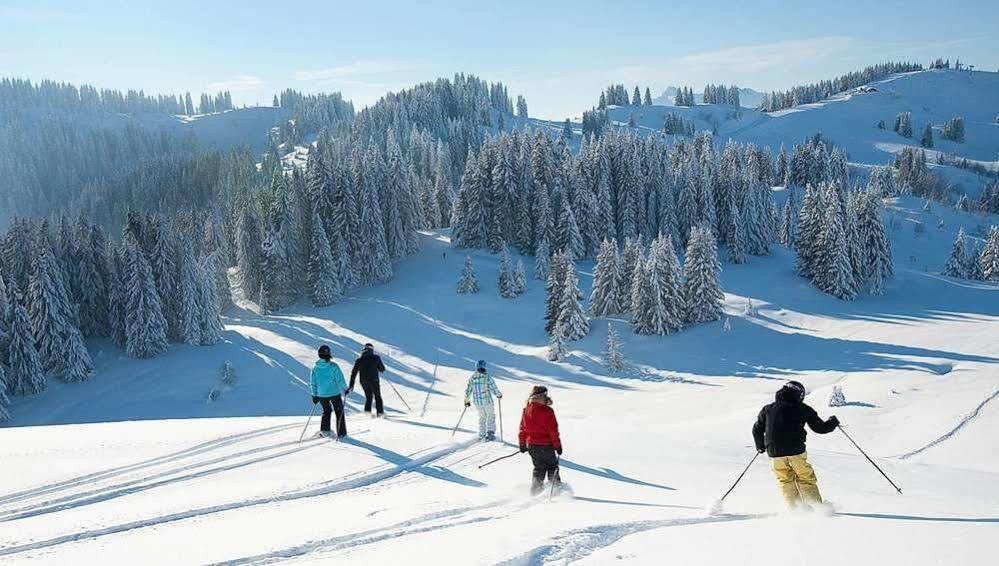 لي جيه Chalet Hotel Regina المظهر الخارجي الصورة